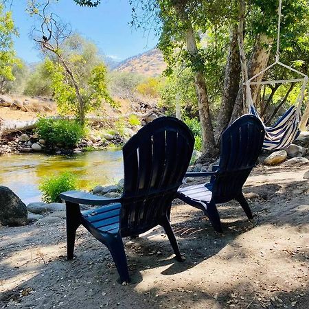 Sequoia Cabin By The River Три-Риверс Экстерьер фото