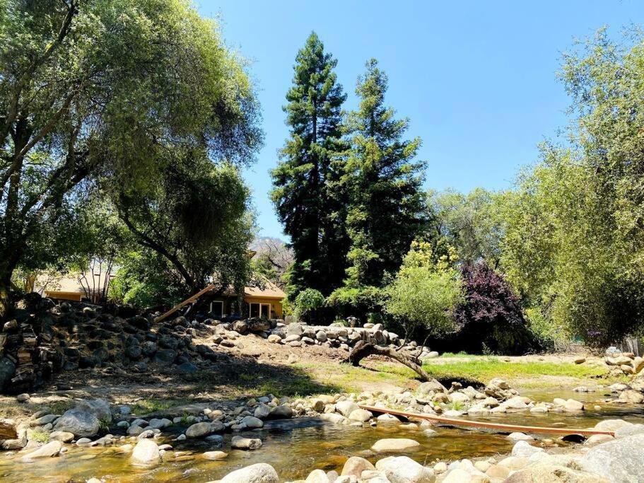 Sequoia Cabin By The River Три-Риверс Экстерьер фото