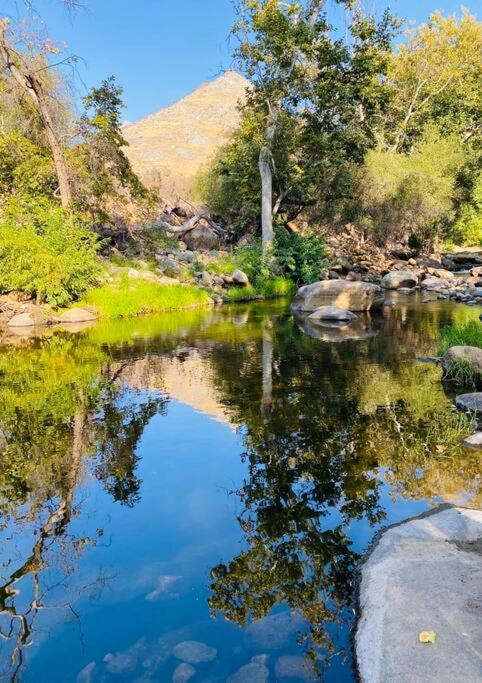Sequoia Cabin By The River Три-Риверс Экстерьер фото