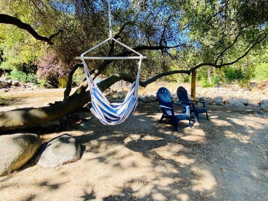 Sequoia Cabin By The River Три-Риверс Экстерьер фото