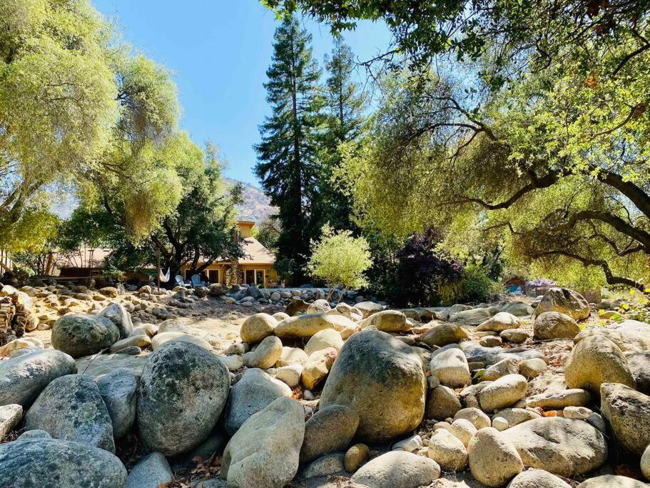 Sequoia Cabin By The River Три-Риверс Экстерьер фото
