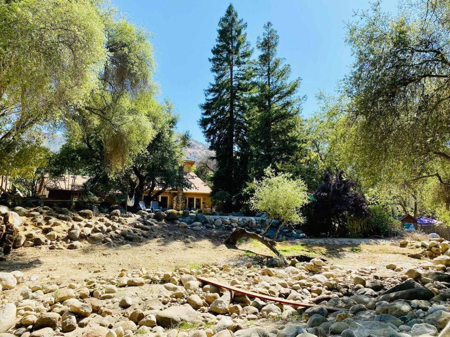 Sequoia Cabin By The River Три-Риверс Экстерьер фото