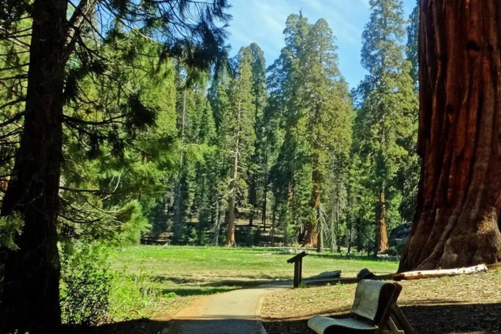 Sequoia Cabin By The River Три-Риверс Экстерьер фото