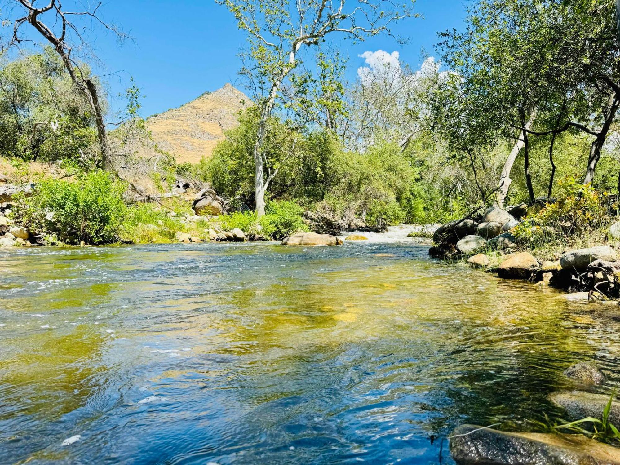 Sequoia Cabin By The River Три-Риверс Экстерьер фото